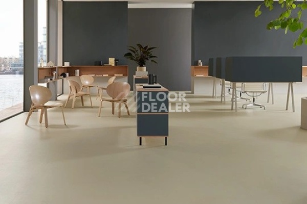 Линолеум Marmoleum Solid Walton 3378 stucco фото 1 | FLOORDEALER